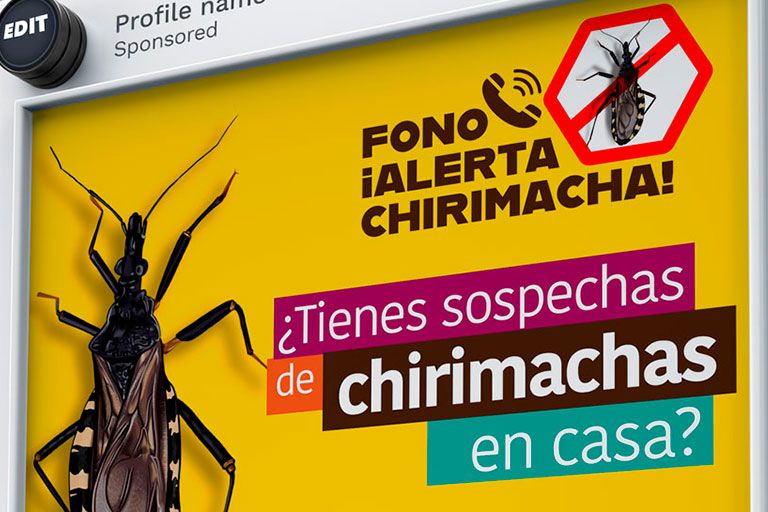 IMAGENES_PEQUENAS-4